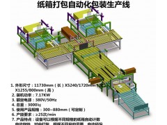 紙箱自動(dòng)化包裝流水線(xiàn)設(shè)備包裝生產(chǎn)線(xiàn)定制